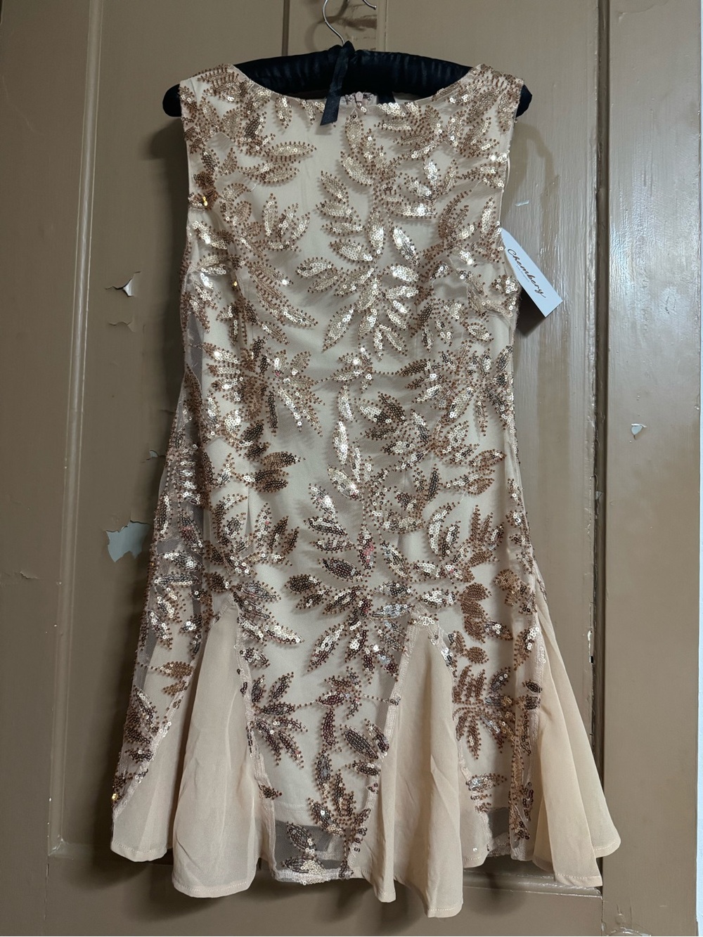 Embroidered Sequin Champagne Cocktail Dress